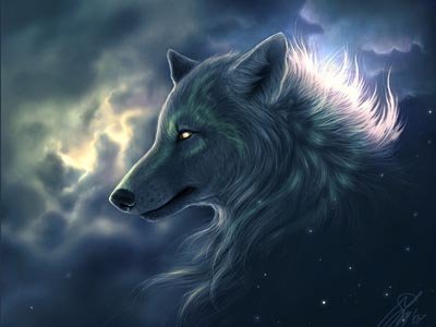 7.24是什么星座?-7月24日属于什么星座