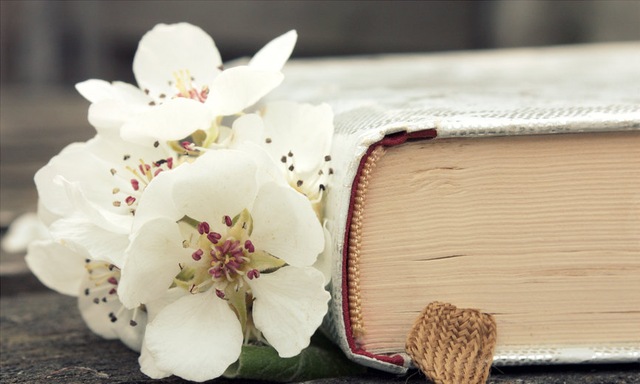 作文主旨:1.心灵温度的高低决定你拥有世界的