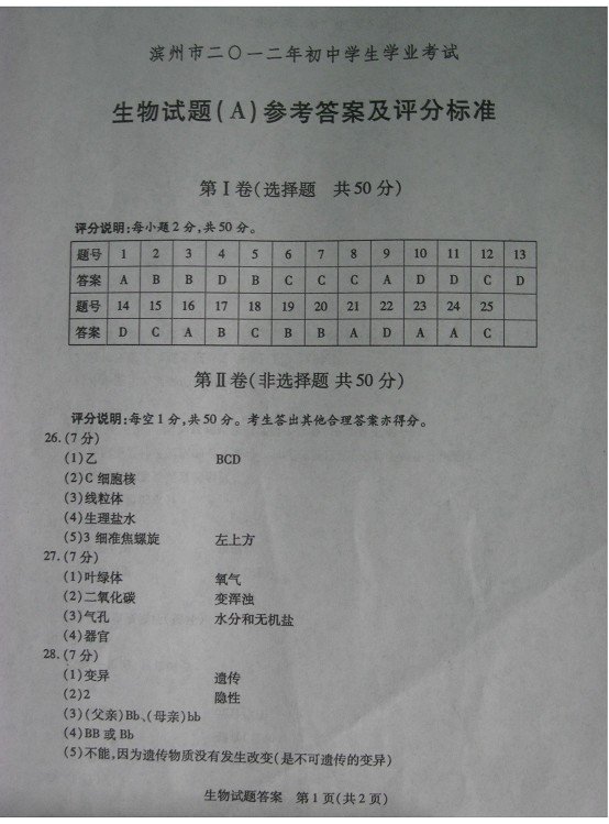 聊城教育网成绩查询。