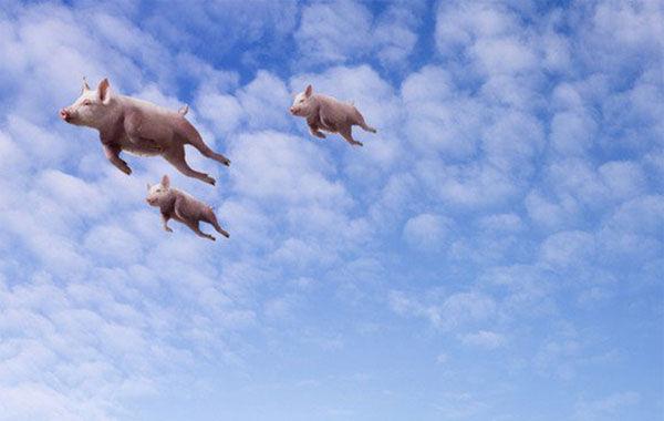 我们可以靠炒股发财吗?-余下全文