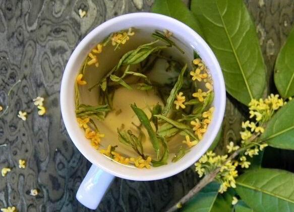 请问中华黑木蘑养生茶对口臭的作用大吗?-请问