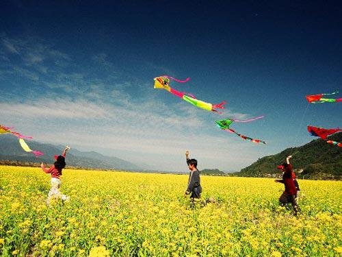 展开想象的翅膀,融入自己对美好生活的向往,以