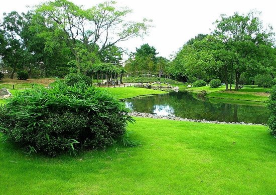 名词解释:花园城镇、人均绿地面积、绿化覆盖