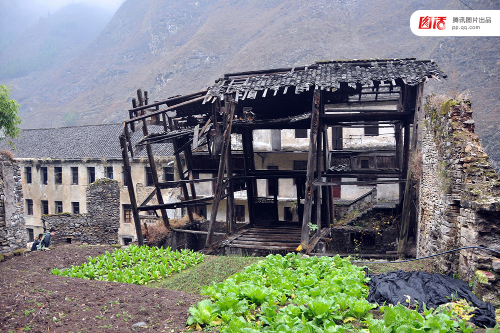 中国人去美国读社区大学好不好-去美国读社区