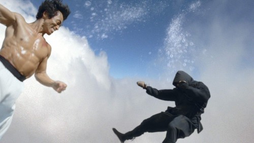 加州大侠熊猫忍者大混战