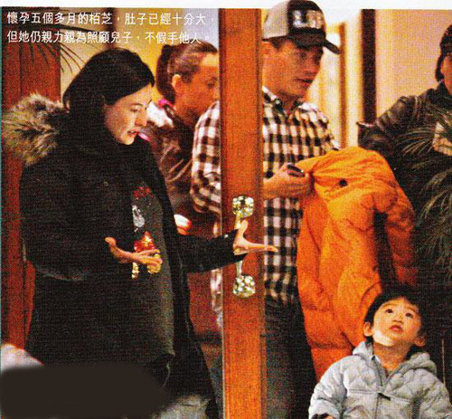 张柏芝挺大肚照顾lucas 资助父亲开公司【图】