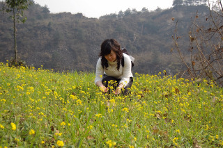 春天赏花不要钱重庆周边自驾游带你去踏春