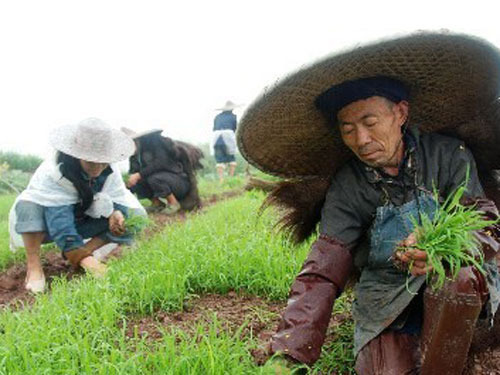 视觉周刊第五十四期:春雨贵如油_视觉周刊_新