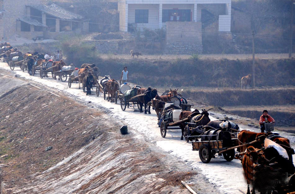 砚山县维摩长岭街村村民拉着牛车排队取水。