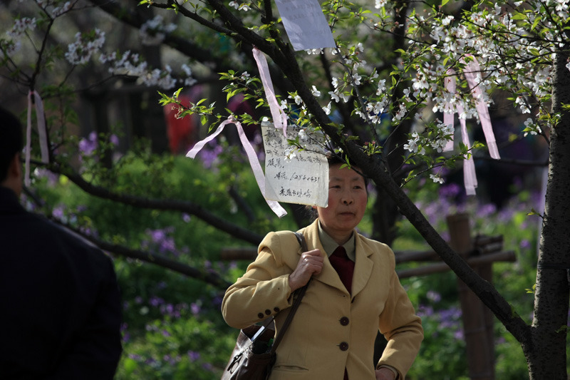 大楚网MISS YOU万人樱园相亲[高清组图2]
