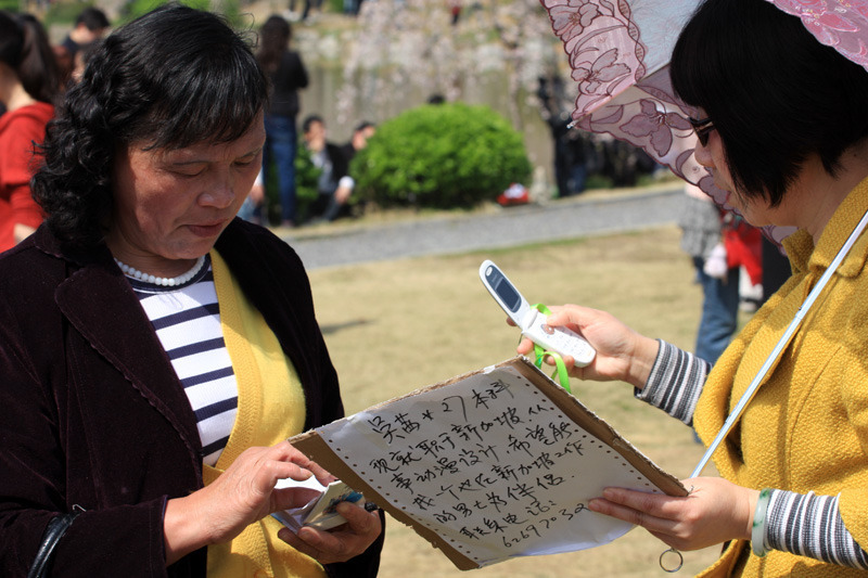 大楚网MISS YOU万人樱园相亲[高清组图2]