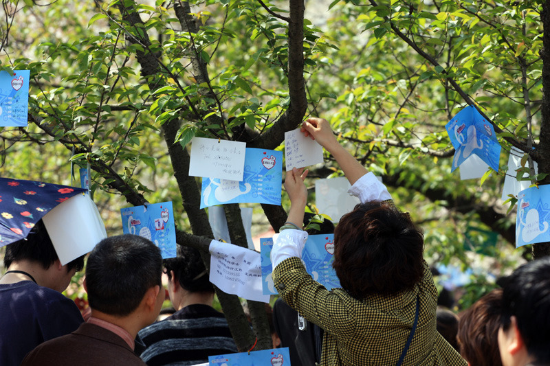 大楚网MISS YOU万人樱园相亲[高清组图2]