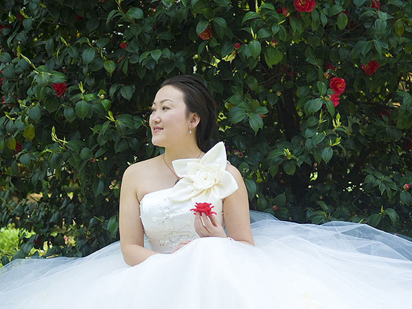 婚纱上的花朵_微信头像花朵(2)