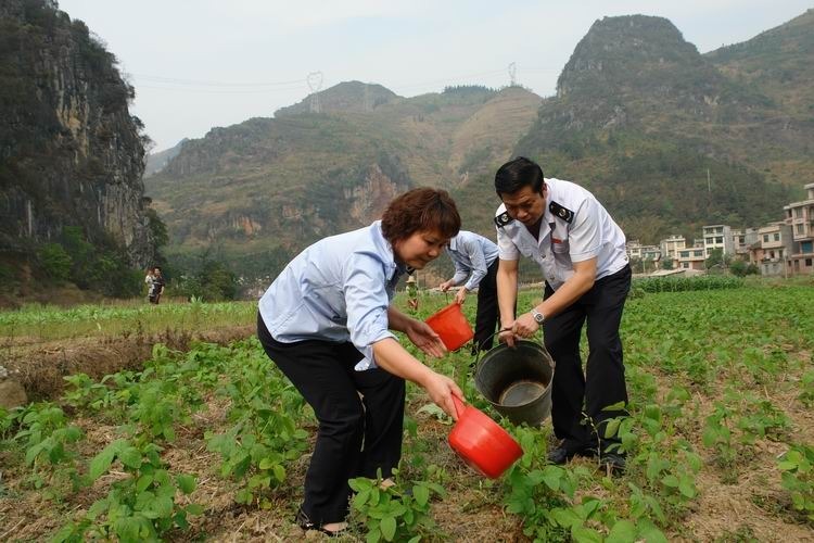 灾区直击:那坡县国家税务局抗旱救灾