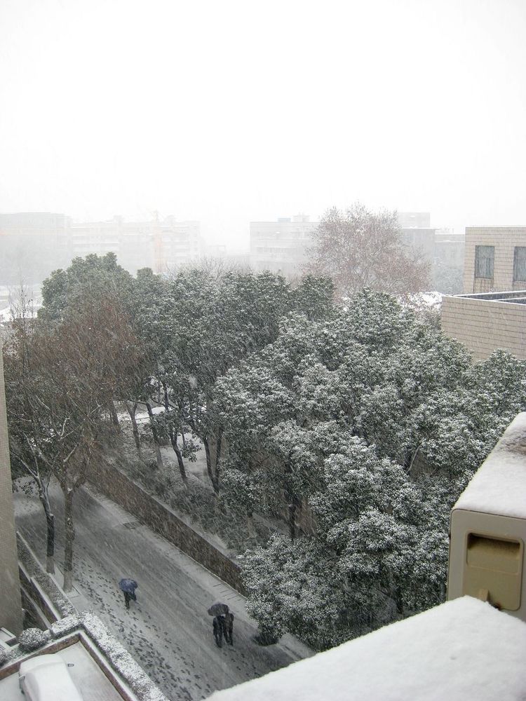 实拍武汉理工大学雪景 图片来源:大楚网友 广广