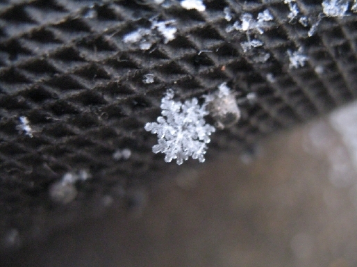 一分钟前的雪花 图片来源:大楚网友 蓝移