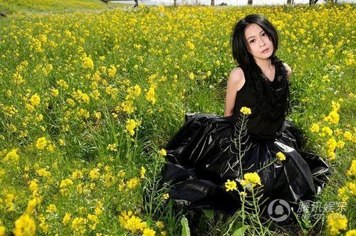 点击浏览下一张