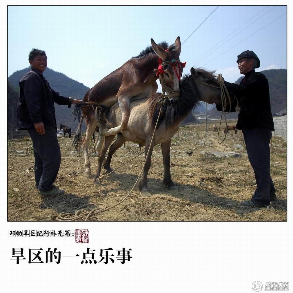 <em>女人与狗</em> 图片