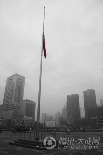 369798_1200x1000_0.jpg