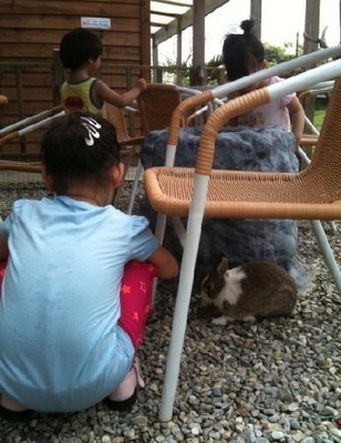 小s带女儿玩耍 许俏妞表演欲强不惧镜头【图】