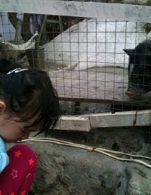 小s带女儿玩耍 许俏妞表演欲强不惧镜头【图】