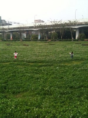 小s带女儿玩耍 许俏妞表演欲强不惧镜头【图】