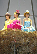 SHE北京演唱会官方网站