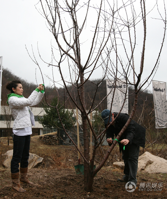 李冰冰冒雨种“玉树重生” 倡导环保生活【图】