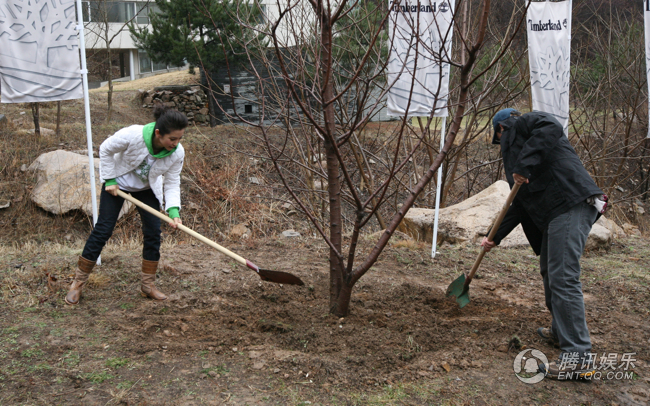 李冰冰冒雨种“玉树重生” 倡导环保生活【图】