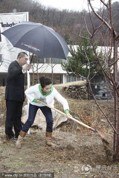 李冰冰冒雨种“玉树重生” 倡导环保生活【图】