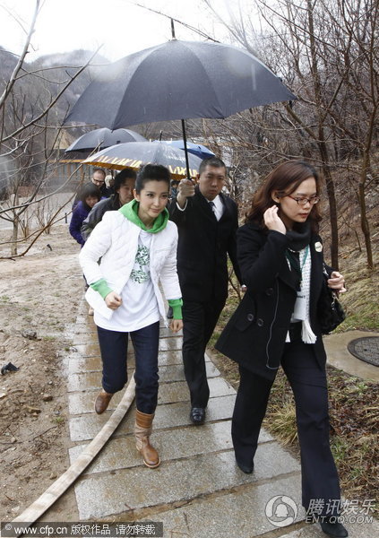 李冰冰冒雨种“玉树重生” 倡导环保生活【图】