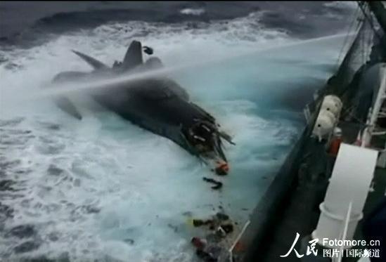 国际反捕鲸团体小船被日本捕鲸船撞沉