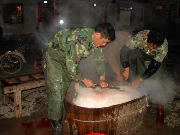 组图:一对闽西农村青年的婚礼及其家乡风情