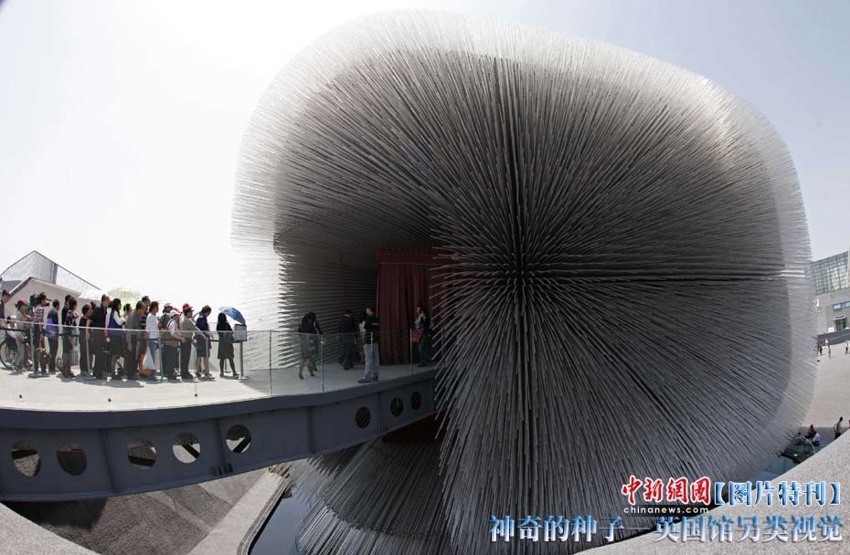 高清图:神奇的种子--英国馆另类视觉_新闻_腾讯