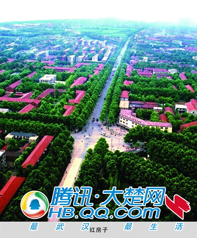 武钢gdp_武汉产业重绘增长极 不再一钢独大(2)