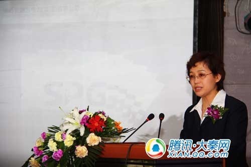 陕西地方电力发布09年报告 将实现多渠道缴费