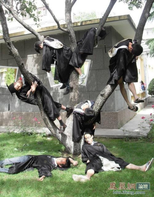 虎年最牛毕业照:牙齿被上百块胸肌包围(图)_社万象_大渝网_腾讯网竖版美女美女图片图片