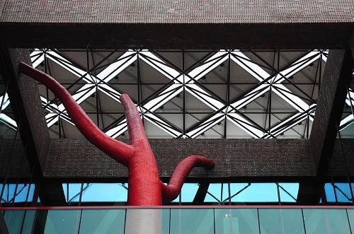 组图:建筑与环境专业大学生看汉堡之家