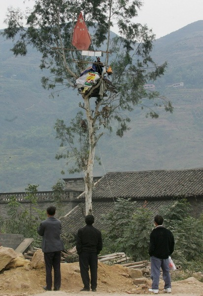 2009年11月17日,奉节县朱衣镇,61岁的陈茂国爬上自家一棵15米高的桉树