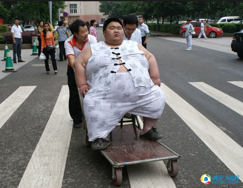 图片故事:中国第一胖梁用住院记(组图)_重庆