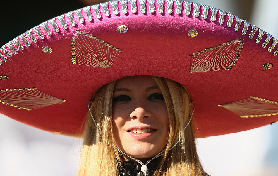 2010南非世界杯各国女球迷风情万种(组图)