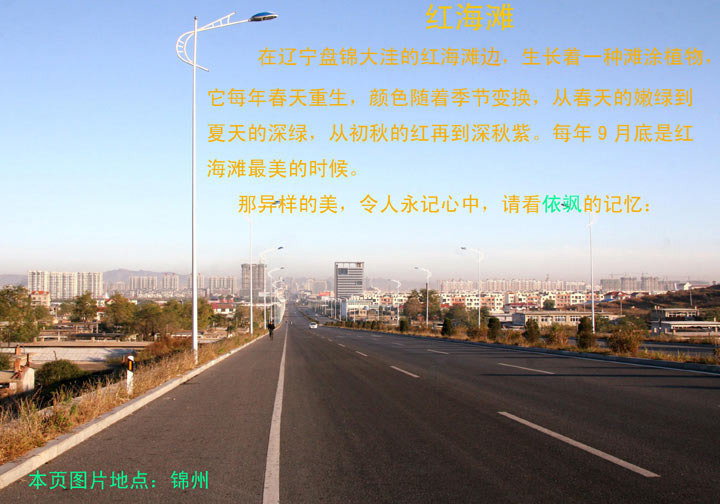 锦州 作者:依飒