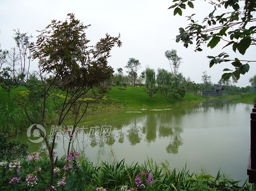 成都合院环境幽雅 突显古典特色