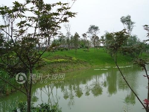 成都合院环境幽雅 突显古典特色