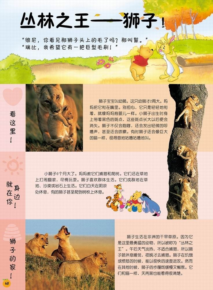 迪士尼小熊维尼·我的第1套百科全书