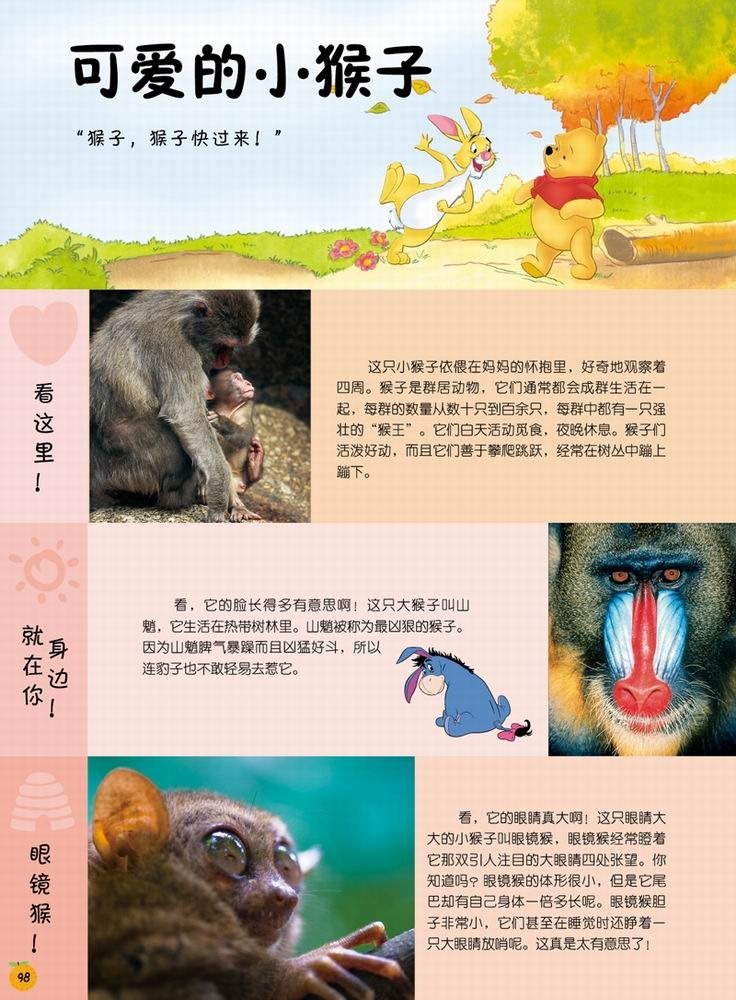 迪士尼小熊维尼·我的第1套百科全书