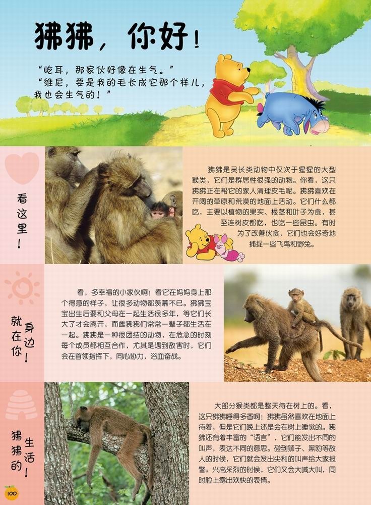 迪士尼小熊维尼·我的第1套百科全书