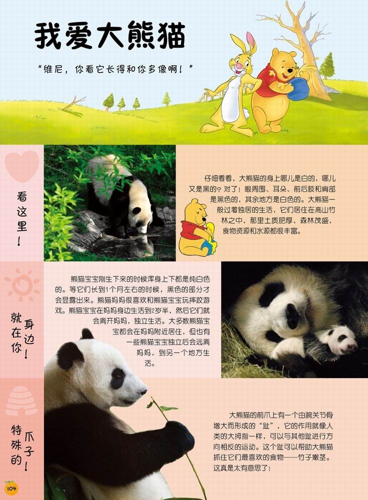 迪士尼小熊维尼·我的第1套百科全书