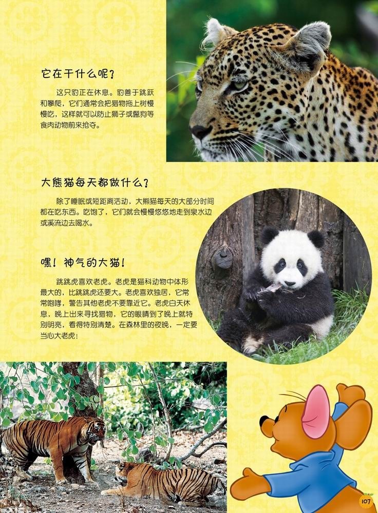 迪士尼小熊维尼·我的第1套百科全书