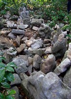 点击浏览第2张图片